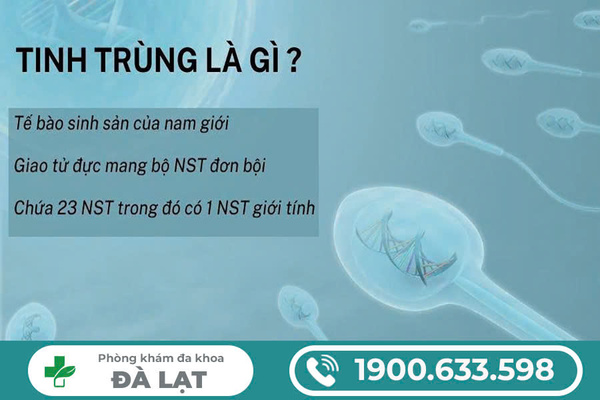 Hình ảnh minh họa